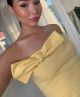 DINA ELIT 