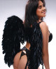 Martina