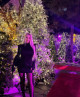 Alina